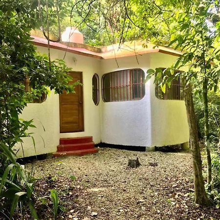 Jolie Jungle Eco Hotel - Ruta de los Cenotes Leona Vicario Exterior foto